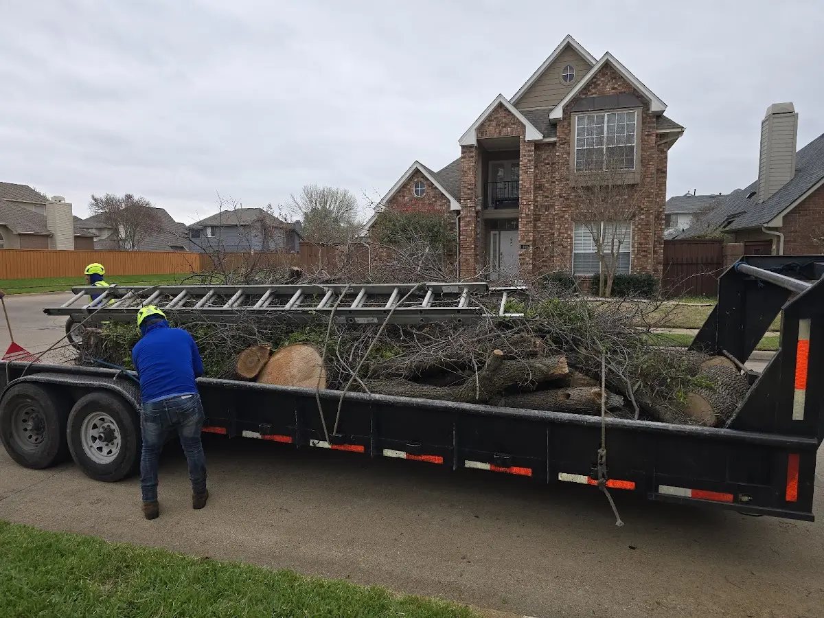 Expert Tree Removal with proper safety equipment in Storden